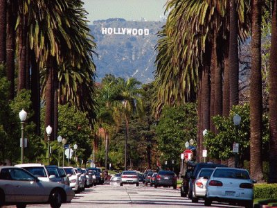 Palm Tree Lined Street-Hollywood