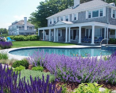 Tropical Purple Garden by Pool