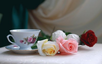 Still life with tea Roses