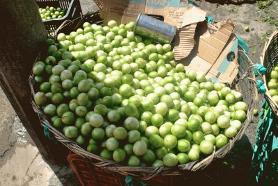 Feira - UmbÃº