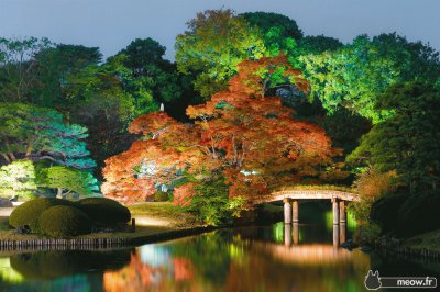 jardin japonais