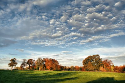 Autumn skies