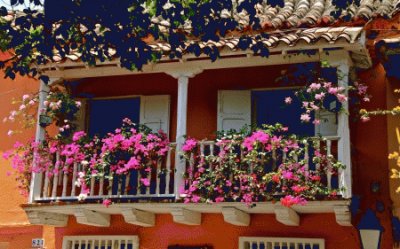 Balcony with Flowers