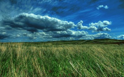 Along the Countryside