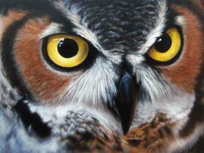 Oil painted Owl