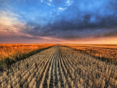 Farmland