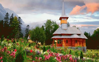 Wild Flowers around the Church