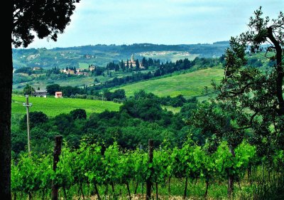 Heart of Chianti