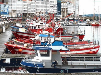 Barcos de pesca