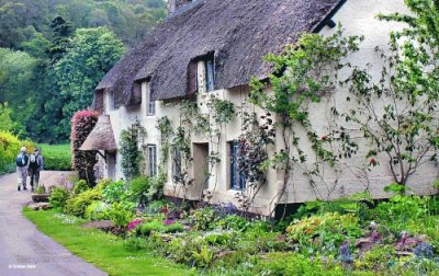 The Edge of Exmoor