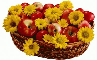 Apples Yellow Daisies