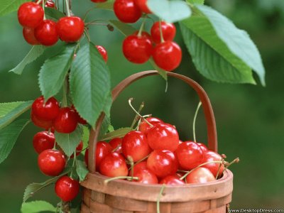 Cherries