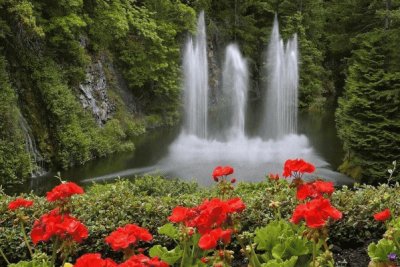 Cachoeira flores