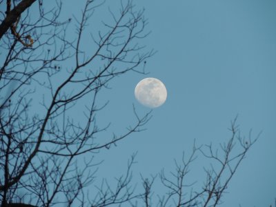 Moon in Daytime