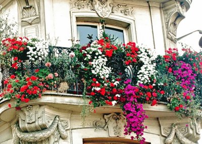 BalcÃ³n florido en ParÃ­s