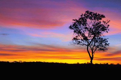 Cerrado - Bahia