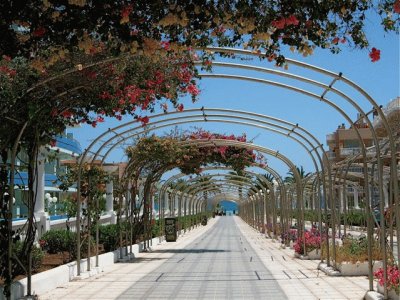 Paseo en Tenerife