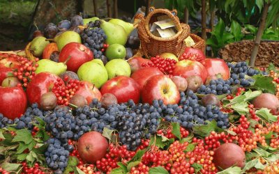 Fruit on the Market