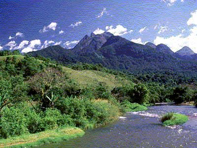 Mata AtlÃ¢ntica - Bahia