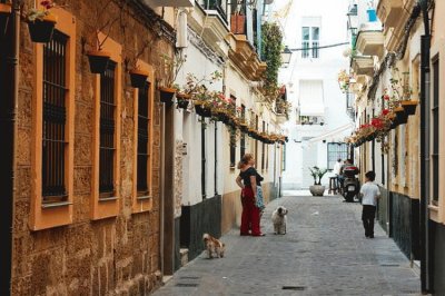 la viÃ±a,cadiz