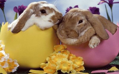 Easter Bunnys