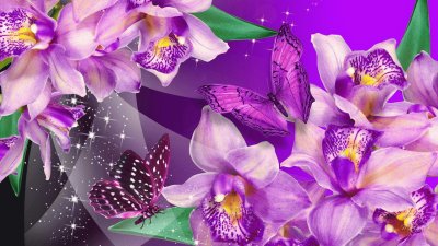 Purple Orchid and Butterflies