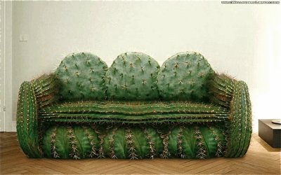 SillÃ³n de cactus