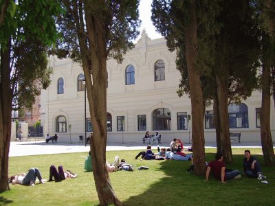 F. Derecho,Sevilla