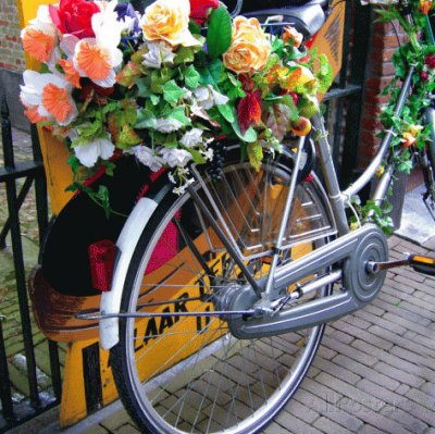 Dutch flower power Bike