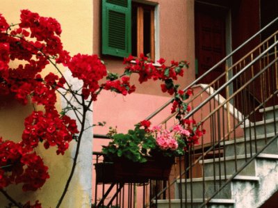 Flowers and painting House Italy