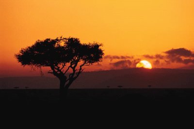 CAMPO ATARDECER