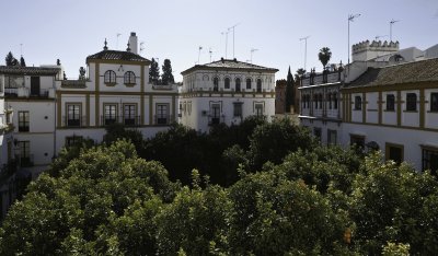 plaza de doÃ±a