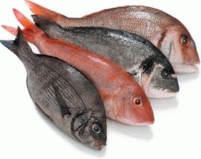 Peixes