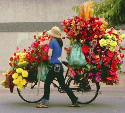 Girl with Bike and Flowers