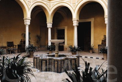 patio de casa palacio,sevilla