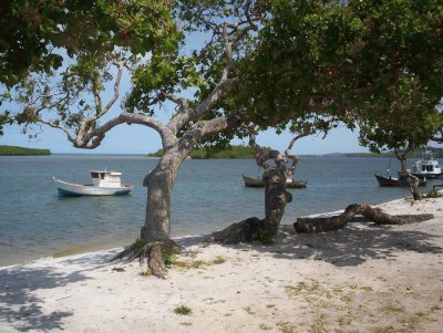 Vila de Santo AndrÃ© - Bahia