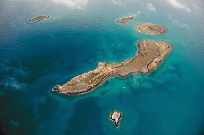 Abrolhos