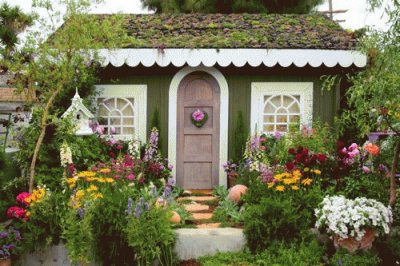 Flowers and House