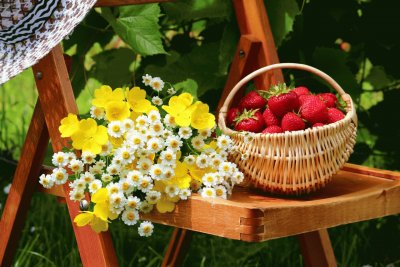 Strawberry Fruit Basket