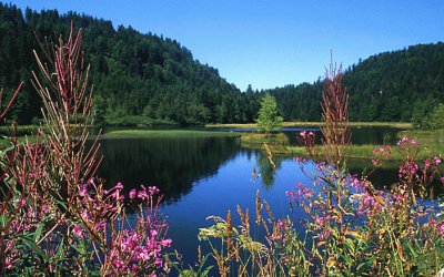 lac de lispach