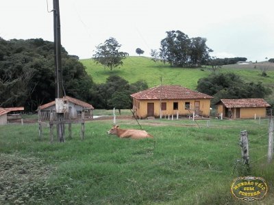 campo