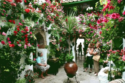 cordoba patio