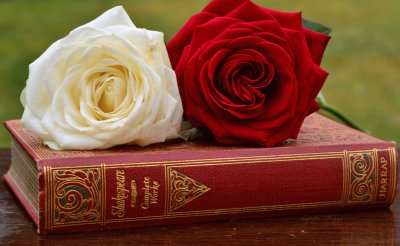 Rose and Book