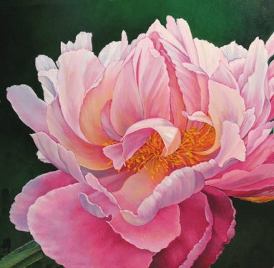 Pink Peony