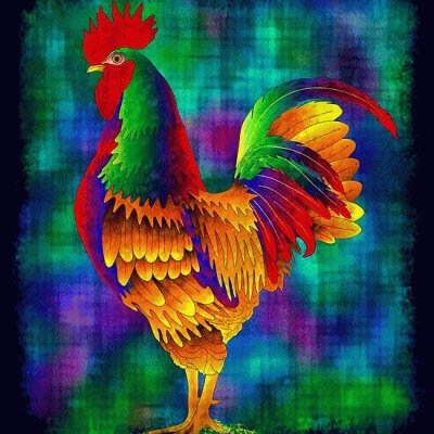 Colorful Rooster