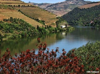 - douro- portugal