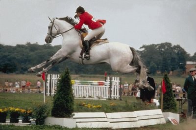 Jumping Horse