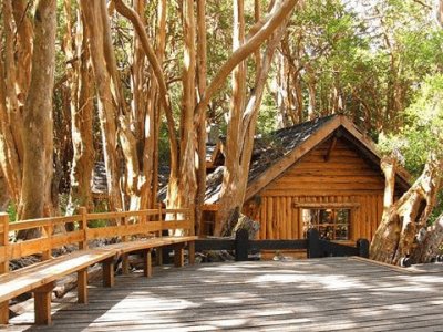 - Parque Nacional, el bosque de los arrayanes