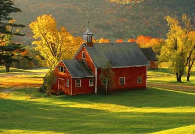 CASA EN EL BOSQUE