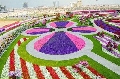 Dubai Miracle Garden